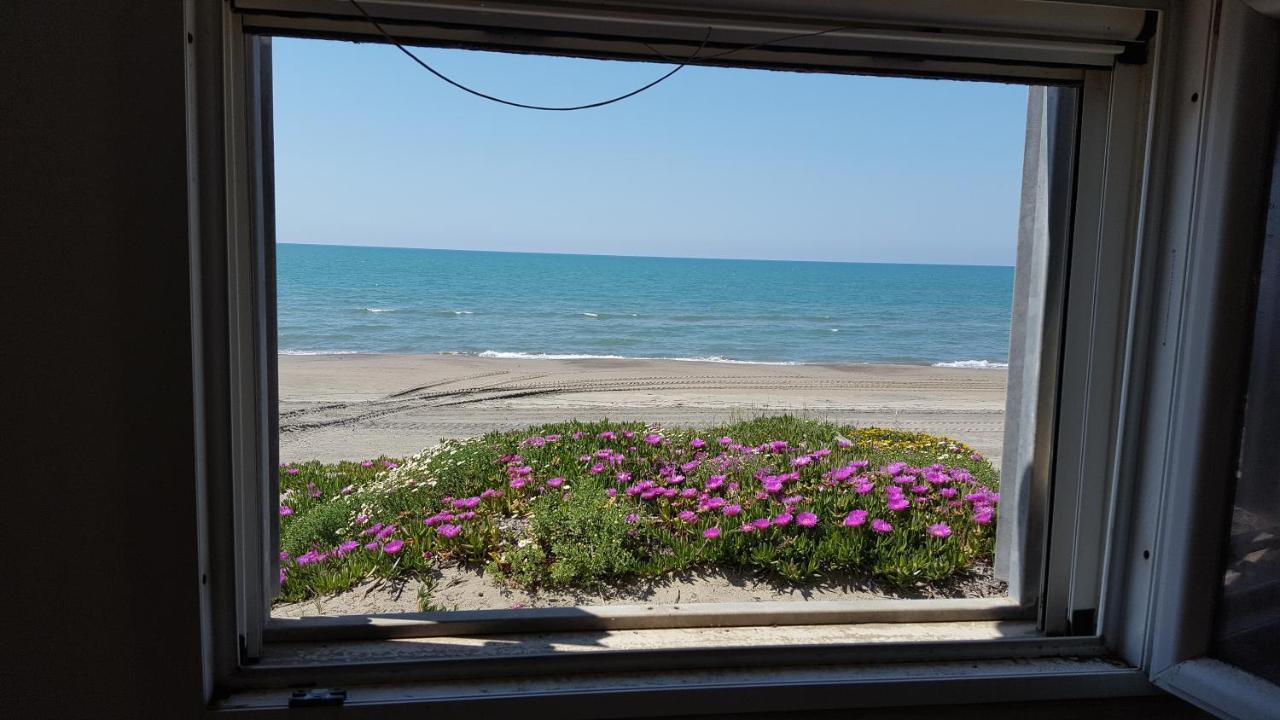 Casina Sulla Sabbia Apartamento Torvaianica Exterior foto